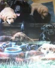 Dog flag with Labradors Black Brown Yellow puppies