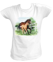 Damen T-Shirt Pferde Horses Horse Fohlen Stute Pferdemotiv Spirit US Sattel 6664