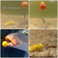 Karpfen Rigs,5 x Hair Rig Boilie Haken Vorfächer,Karpfen angeln, SUPERPREIS!!!!