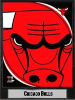 Chicago Bulls Logo Holz Wandbild 30 cm,Plaque NBA Basketball,Neu