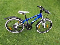 GIANT 20 Zoll Rahrrad Jugendfahrrad MTB Mountainbike Kinderfahrrad 