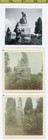 (3) Vintage 1960's CEMETERY photos / Snedden Gravestone Sculpture of Sad Beauty