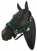 Halfter Stallhalfter Nylonhalfter Nylon Vollblut grün