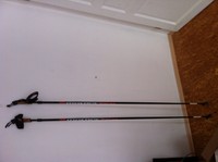 Skike - Stöcke Nordic skating