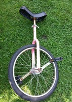 Einrad 20 zoll , Delta Sport , rosa 