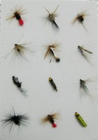 2318613 12. September Esche Moskau Dry Fly Fishing Forellenangeln Craft Deutschl
