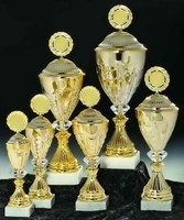 6er Serie Luxus-Pokale (53000) inkl. Emblem, Gravur und Versand