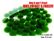 MossBaIi-LivePlant best F0R rena boyu air pump powerhead whisper aquarium