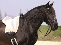 BAREFOOT FELLSATTEL PHYSIO FELL-SATTEL GRÖßE SMALL !!  4205 S