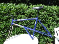 Retro Hooger Booger Booster MTB Rahmen  ECS Spinner Gabel