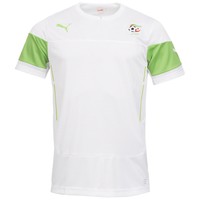 Algerien PUMA Trainings Trikot 744622-01 Herren Training Jersey S M L XL neu