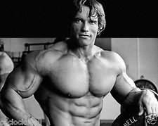 Arnold Schwarzenegger 8 x 10 GLOSSY Photo Picture 