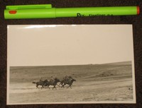 Wehrmacht Russland russischer Reiterspähtrupp unter MG Feuer