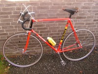 VINTAGE RALEIGH PROFESSIONAL Ti RACINGBIKE RENNRAD BICI DA CORSA ULTRA RARE TOP 