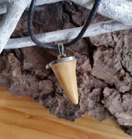 Echter Fossilien - Anhänger Haifischzahn ca- 50-60 Mil.,Shark-Anhänger, Folklore