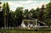 Ak Graal Müritz im Kreis Rostock, Blick auf Waldhaus - 10043210