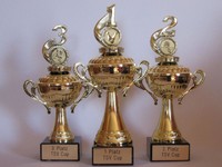 3er-Serie Henkelpokale (1, 2, 3) mit Wunschgravur und Wunschemblem 