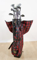 16tlg Golfset Golfschläger Eisen Holz Tasche Ballangel etc.