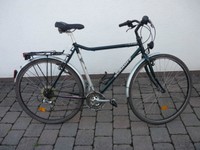 Schauff Sacramento Hr. Rad  Geschenktipp!