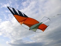 Einleiner-Drachen: Adler XL mit drei Kielen von CIM