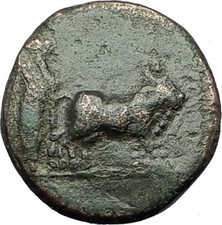 TIBERIUS 14AD Colonists Founding PARIUM with OXEN Ancient Roman Coin i59373