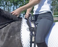 BUSSE Longiergurt mit Handgriff Longe Griff Haltegriff MSH SH P WB div. Farben