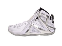 Lebron XII 12 Elite SP/PIGALLE 806951-100