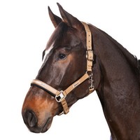 Eskadron Halfter cognac WB oder VB Dornschnalle 428645145