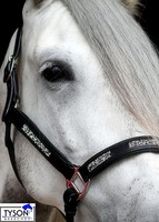 Lederhalfter Conner Glitzer Strass Schwarz  weich ! VB WB Halfter Leder Tysons 