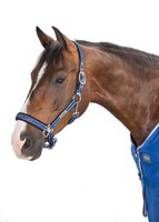 Eskadron Halfter Dornschnalle NG H/W 2015 royalblue SALE