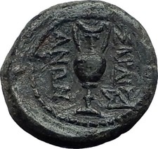 SARDES in LYDIA 133BC Hercules Kantharos Vase Ancient Greek Coin RARE i59520