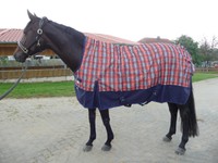 *1200 Denier WINTEROUTDOORDECKE mit HIGHNECK* 145 cm  Orangekarriert 300 Gramm 