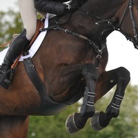 Kavalkade Stollenschutz Sattelgurt inkl. Vorderzeug  " SECUREX "   36023