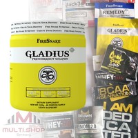 GLADIUS 320g Pre Workout Booster Muskelaufbau TOP Hardcore Formel + FREI BONUS