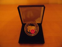 1. FC Nürnberg Münze Aufstieg 1. Bundesliga 2000/2001 Silbermünze Medaille FCN