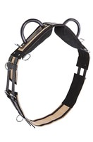 BUSSE Longiergurt DOUBLE 2 Handgriffe Griff Longe Voltigiergurt MSH SH P WB