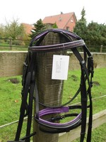 Schicke Trense aus Leder  Top Qualität Gr.Mini-Mini- Shetty lila unterlegt