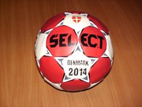 Select Denmark 2014, Handball Gr. 2