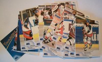 DEL 02/03 TEAMSET AUGSBURGER PANTHER 