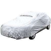 PEARL Premium Auto-Vollgarage Oberklasse 508x178x119cm