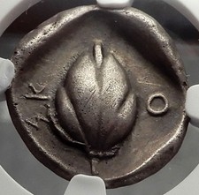 SKOTUSSA THESSALY 440BC Horse Wheat-grain Ancient Silver Greek Coin NGC i58233