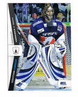 3 DEL Playercards 2010/11 zum aussuchen