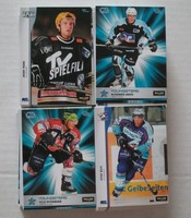 DEL 05/06 KARTON MIT 520 PLAYERCARDS 