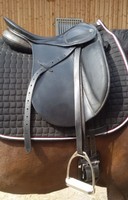 Stübben Dressursattel Scandica