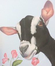 alpine dairy goat painting picture on canvas ready to hang