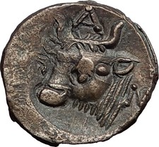 PANTIKAPAION Cimmerian Bosporus Black Sea 325BC Rare Ancient Greek Coin i58149