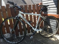 Rennrad Ridley Tempo