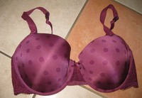 Palmers - Toller BH wattiert Gr. 90 c       NEU