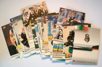 DEL 07/08 TEAMSET AUGSBURGER PANTHER 