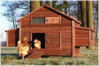 XXL Freiland Farm , Hühnerstall , Hühnerhaus , Entenstall B188 X T87 X H113 cm 